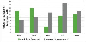 Jungvogelmanagement 2007-2011